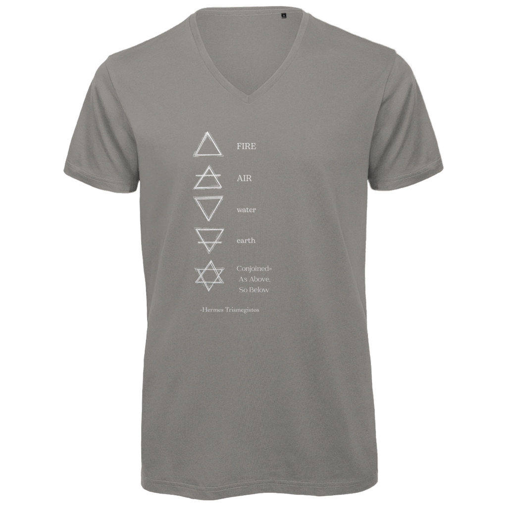 Herren Bio T-Shirt -Elemente-