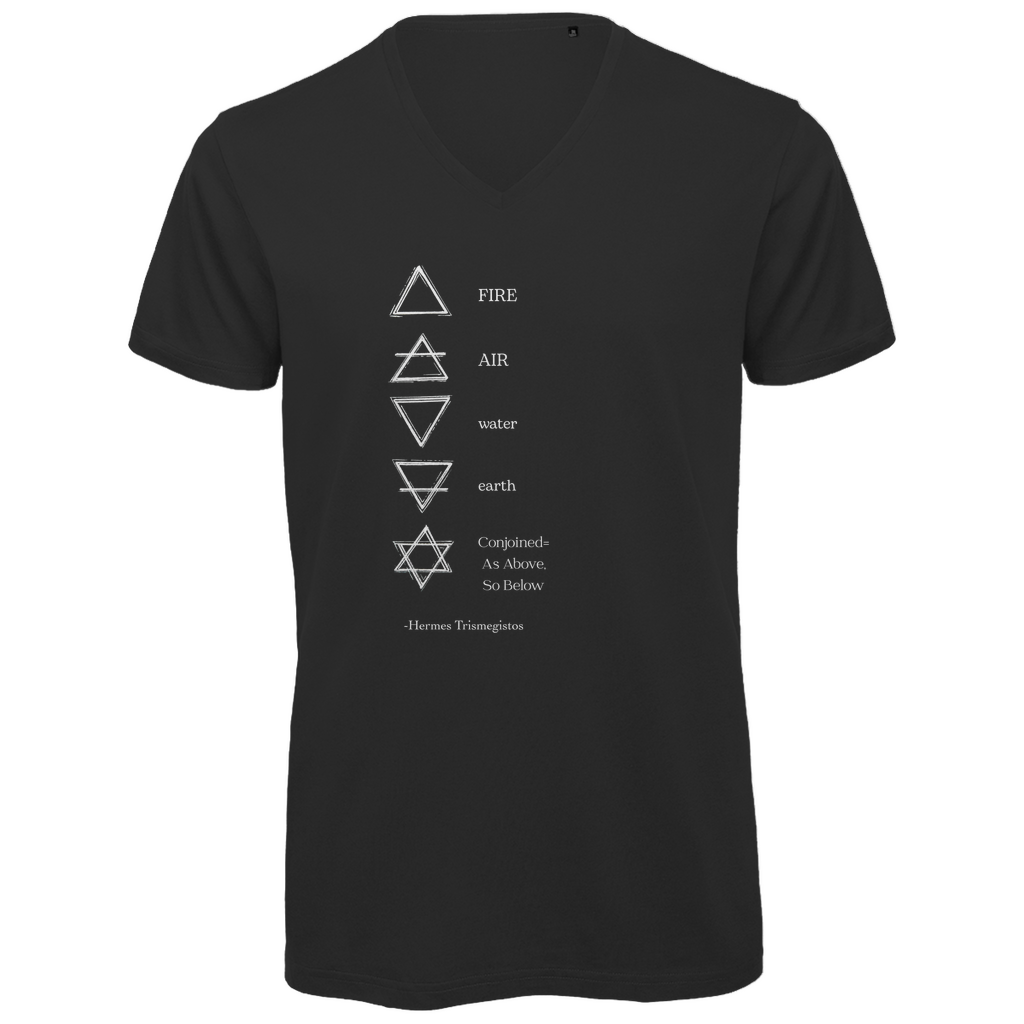 Herren Bio T-Shirt -Elemente-